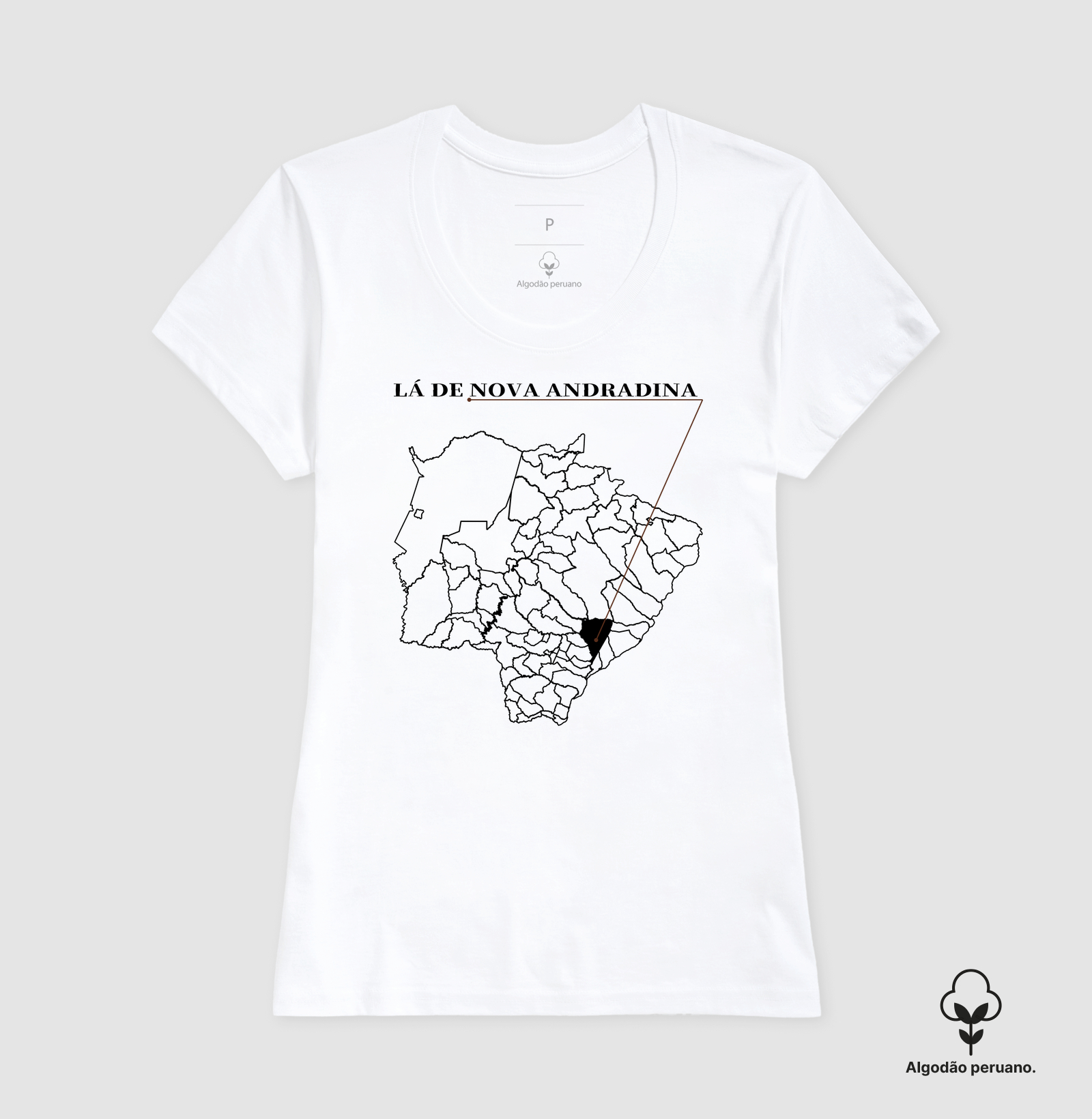 Nova Andradina | Origem MS - Imagem 8