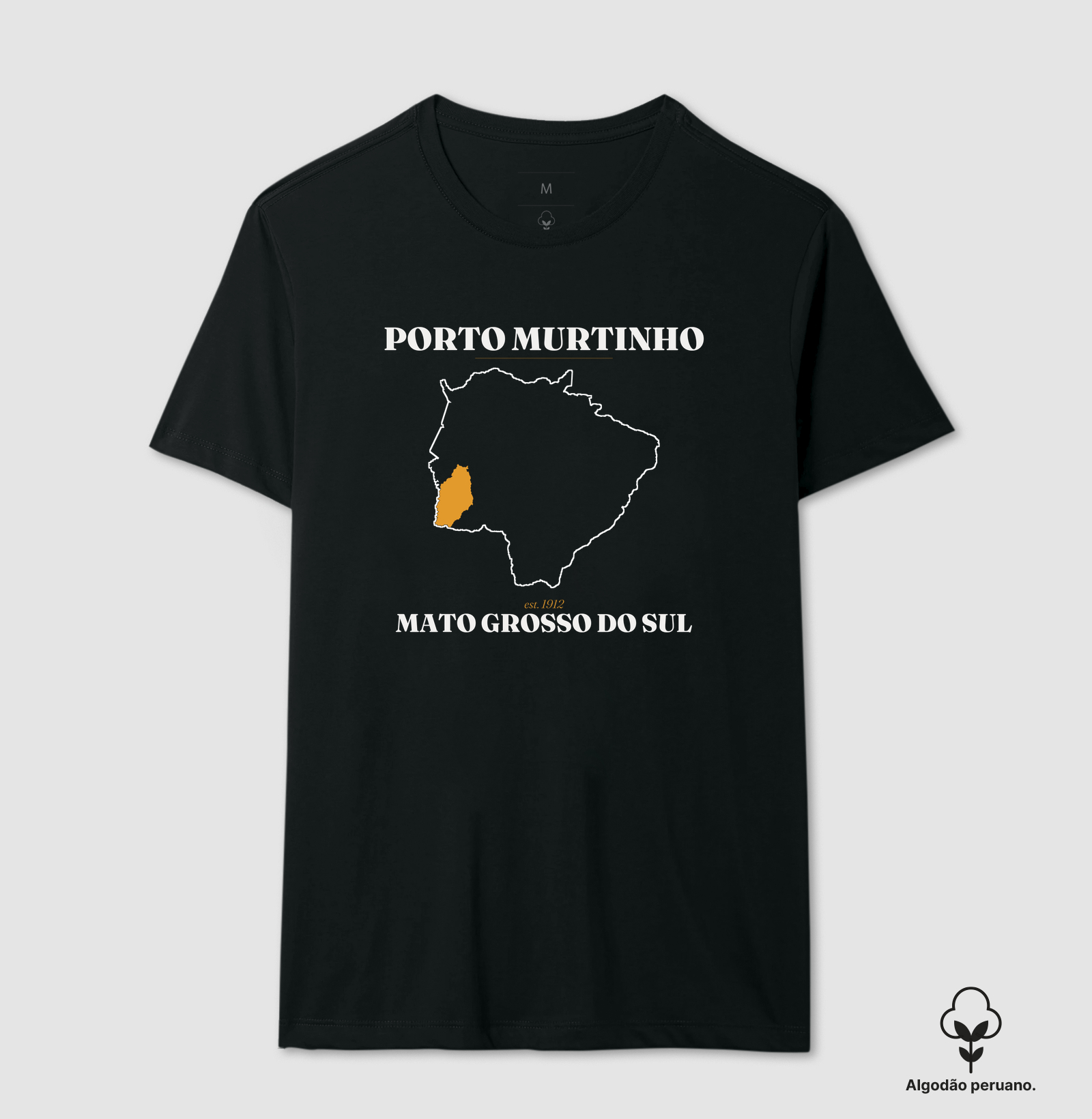 Porto Murtinho | Legado MS - Imagem 3