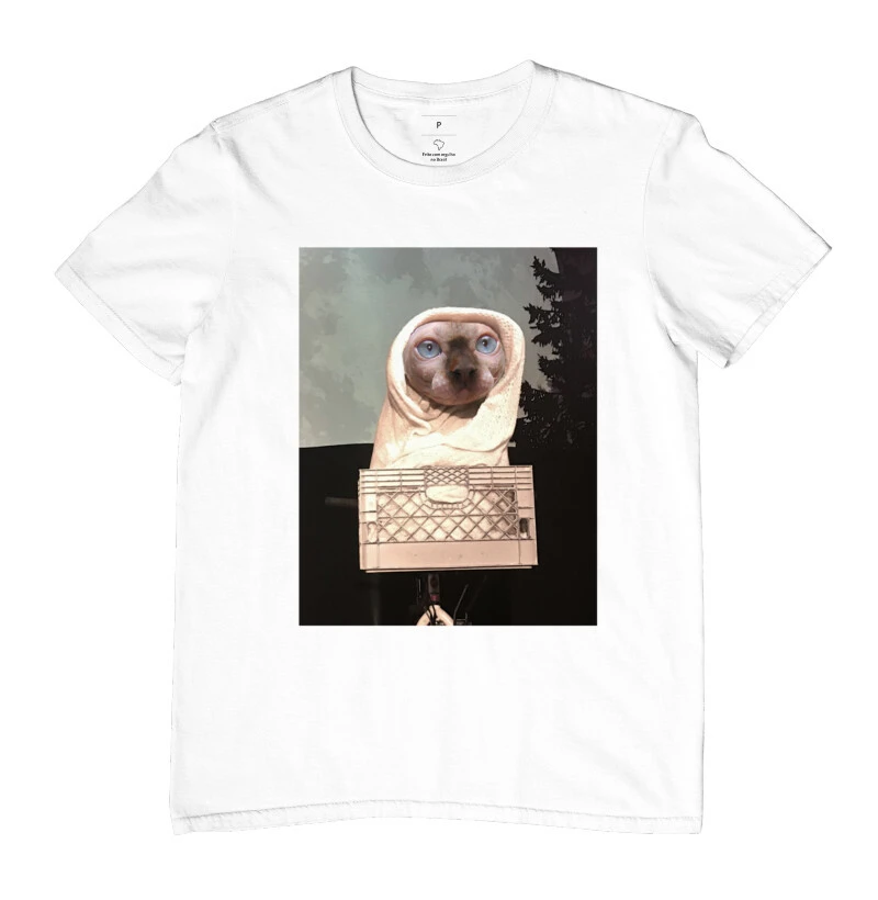 SPHYNX CAT - Imagem 4