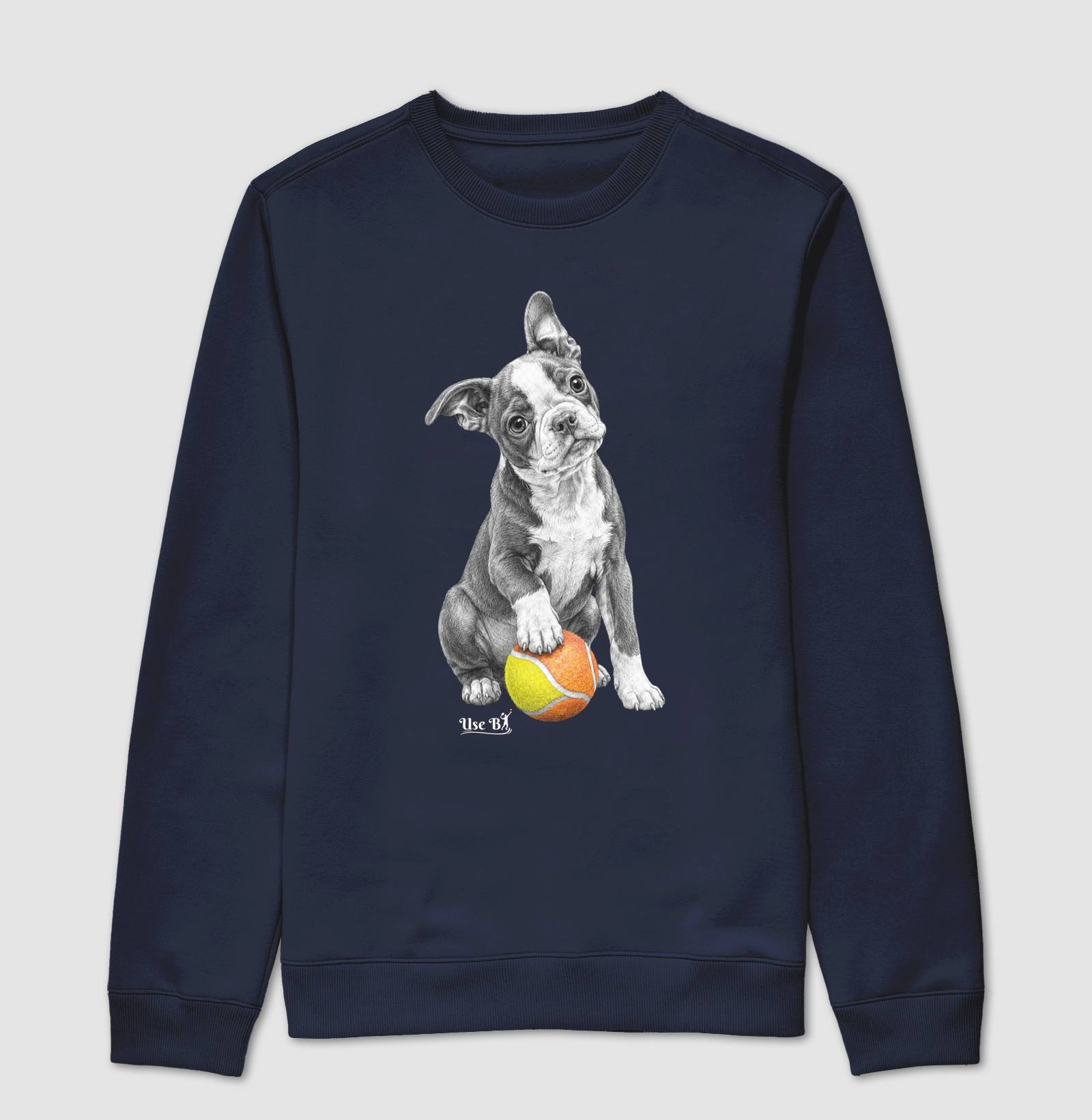 Boston Terrier do Beach - Imagem 5