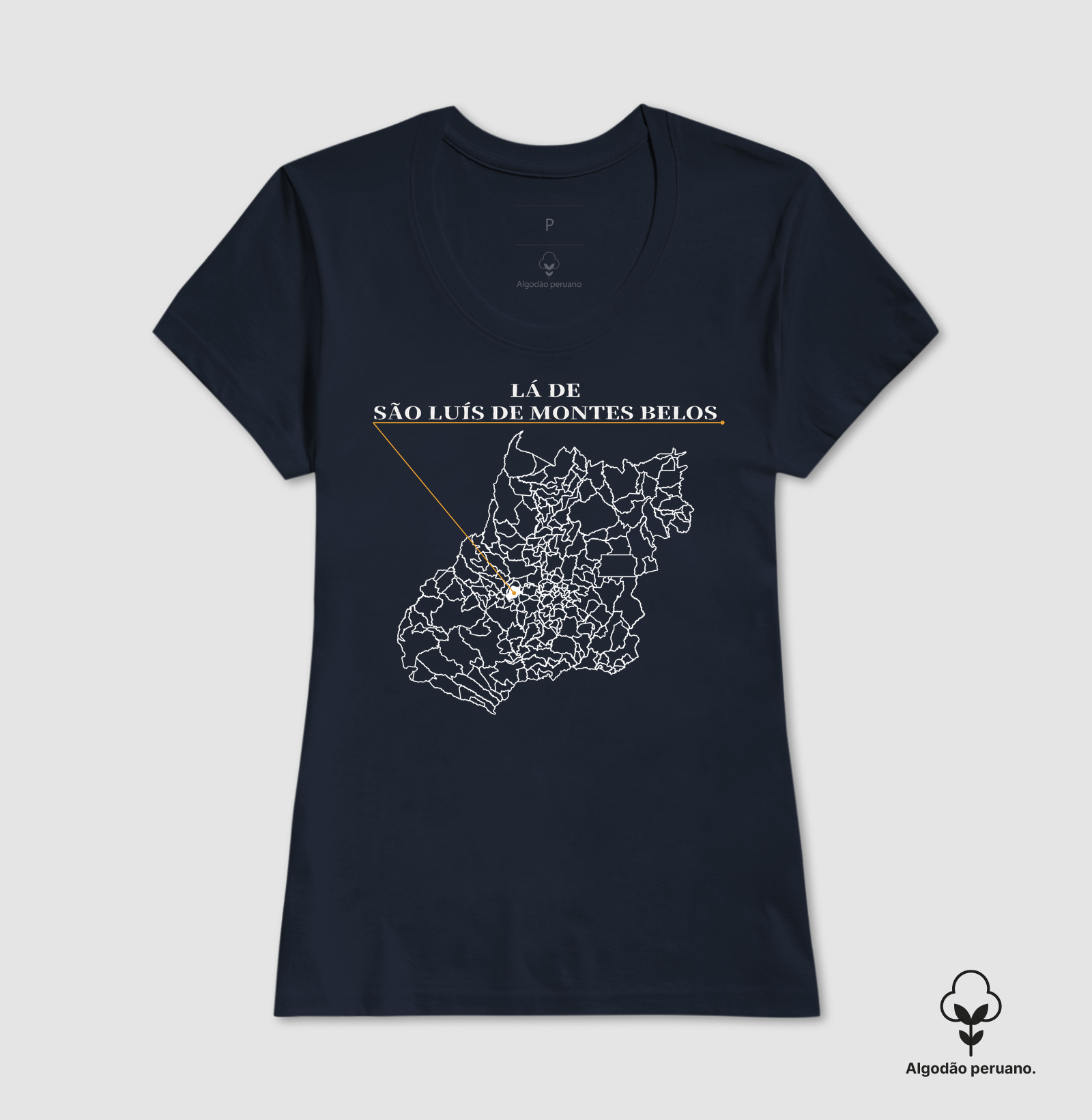 São Luís de Montes Belos | Origem GO - Imagem 8
