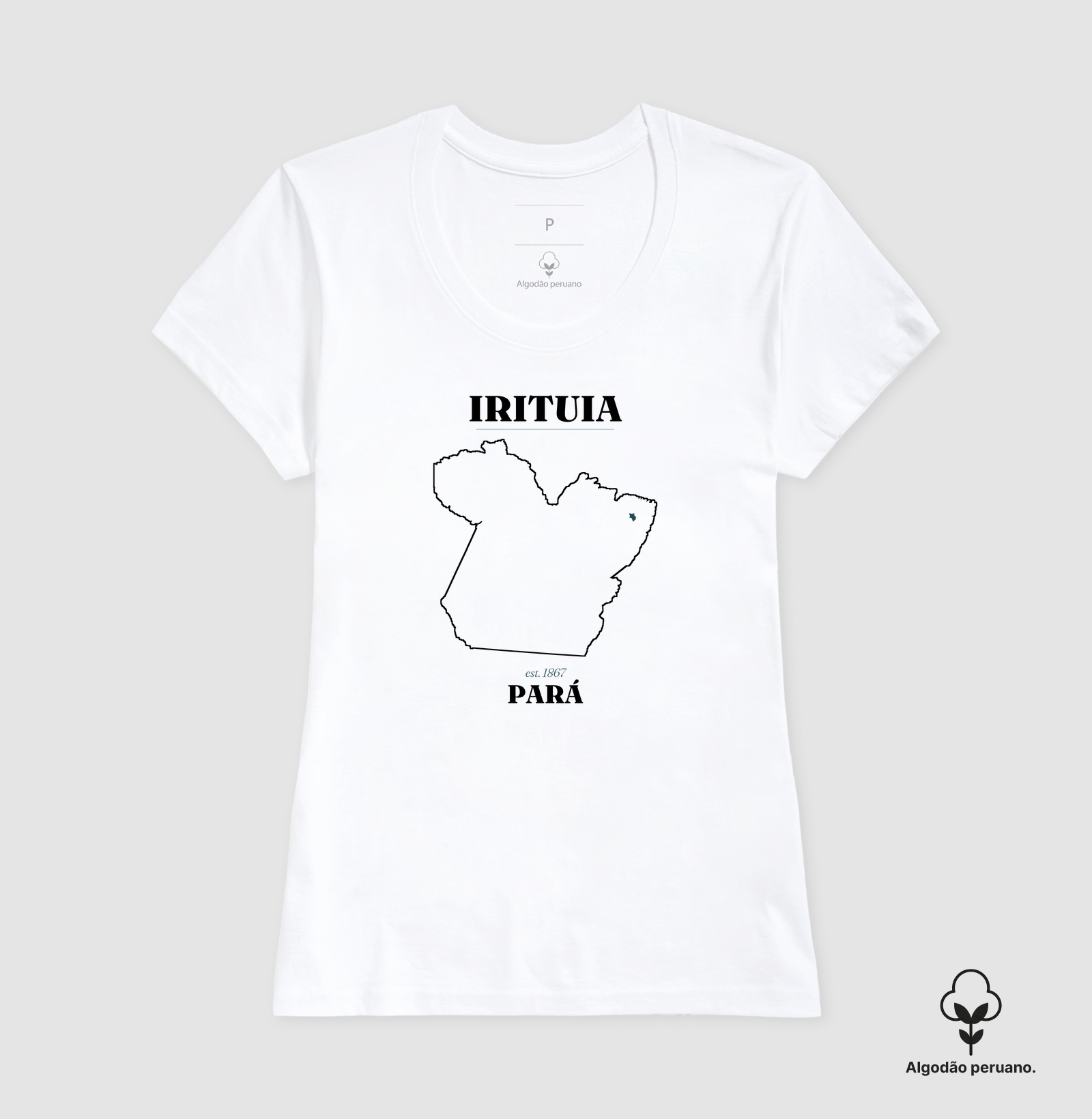 Irituia | Legado PA - Imagem 4