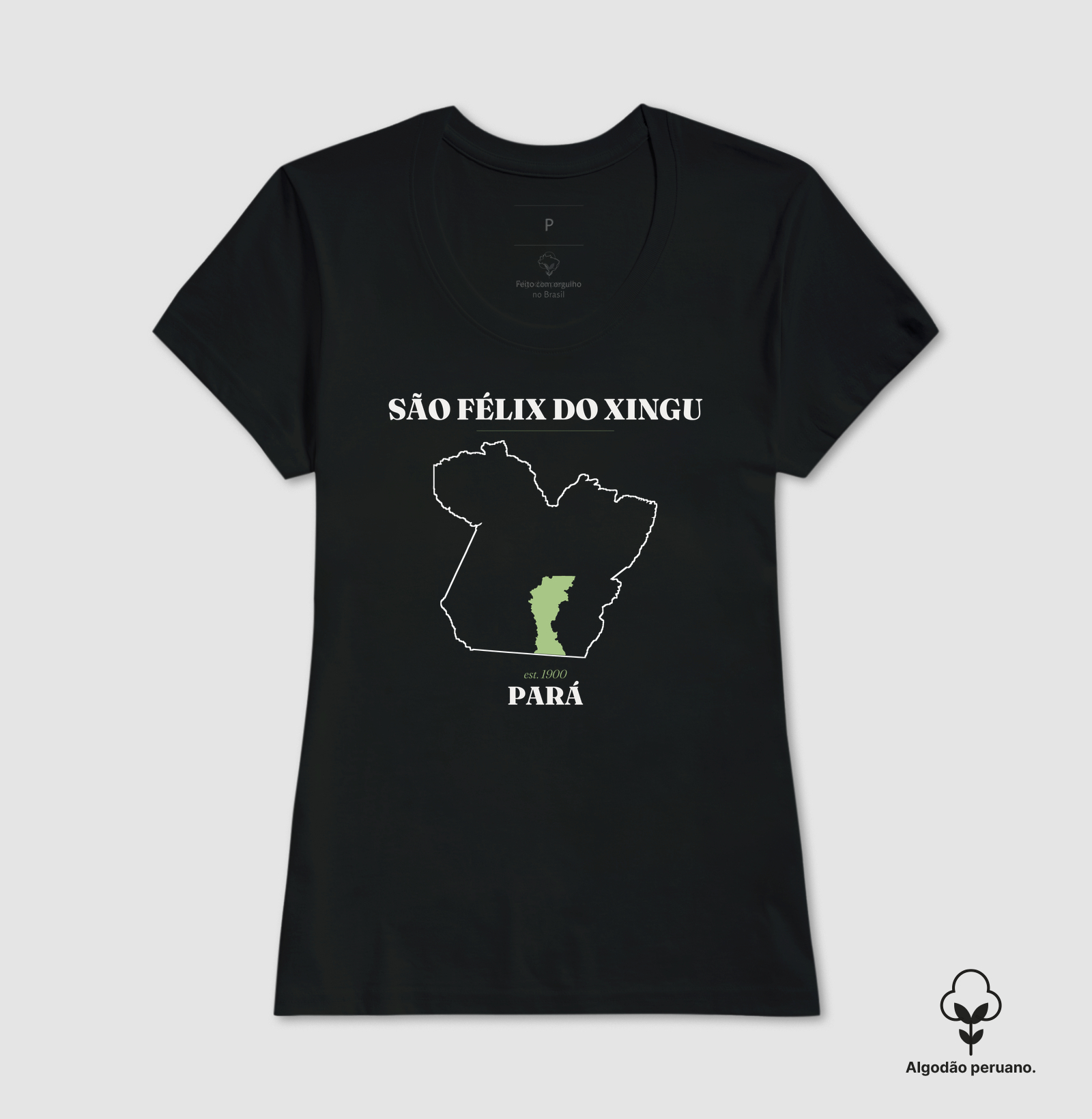 São Félix do Xingu | Legado PA - Imagem 4