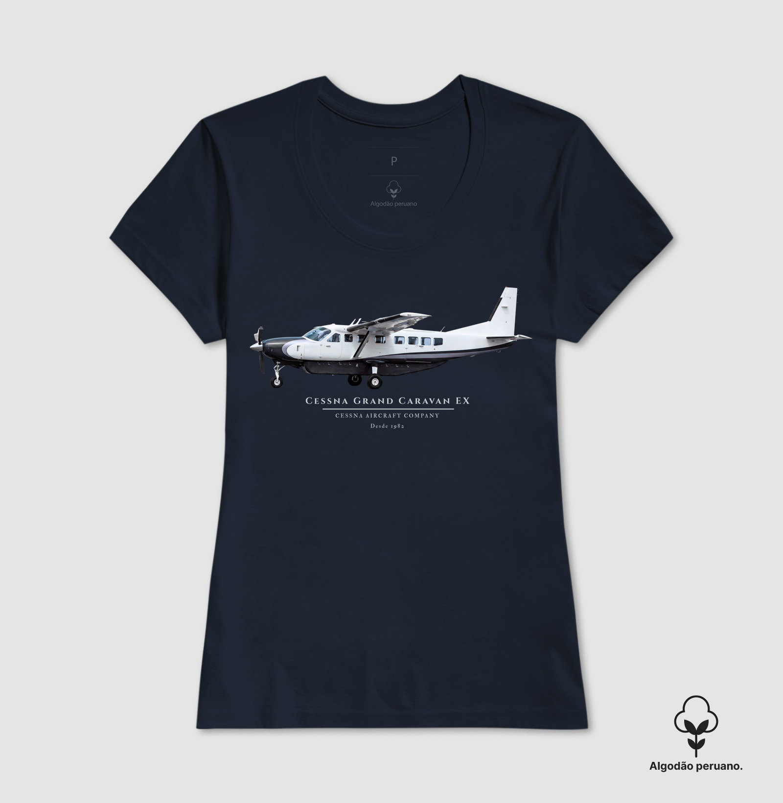 Cessna Grand Caravan EX - Imagem 7
