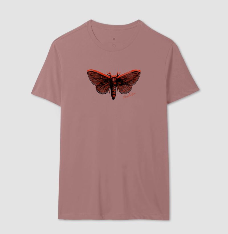 Lepidoptera - Imagem 8