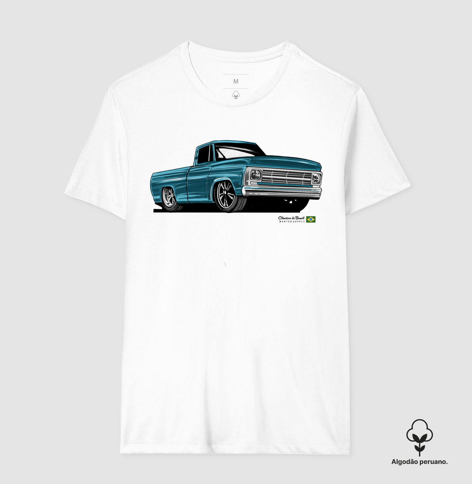 Camionete F 100 - Imagem 3