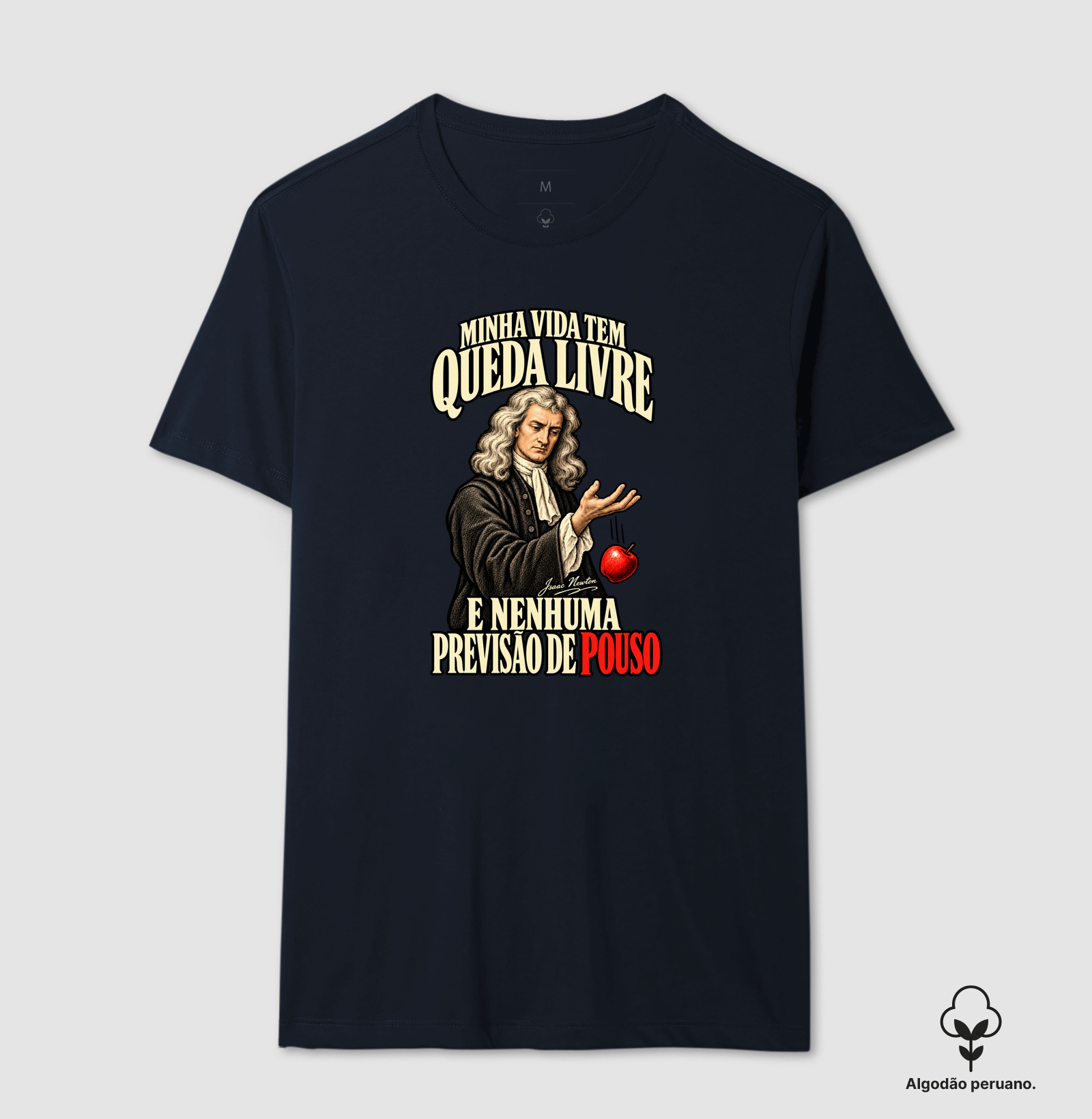 Vida tem Queda Livre - Isaac Newton - Imagem 6