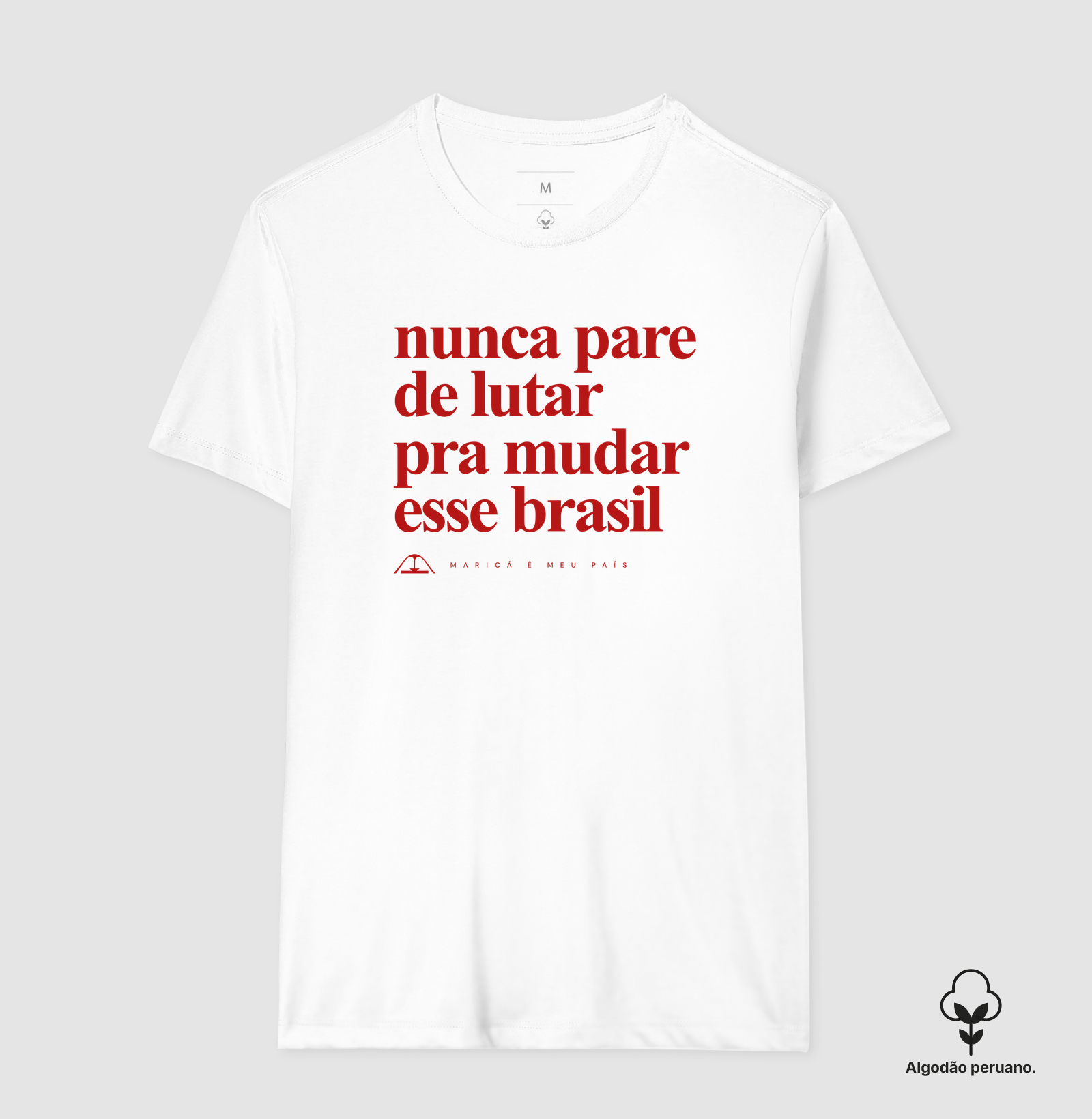 Nunca pare de lutar pra mudar esse Brasil - Imagem 9