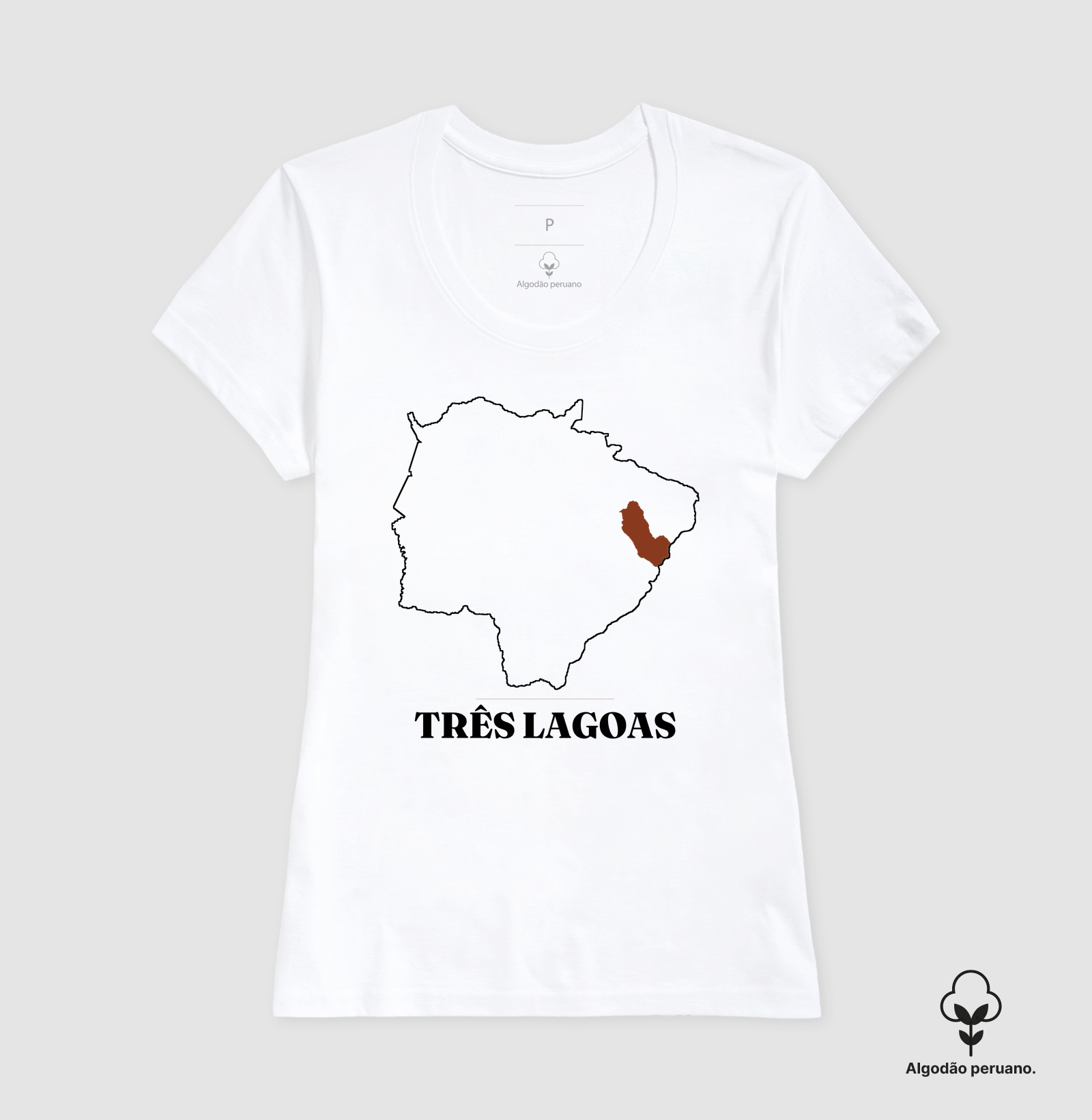Três Lagoas | Traço MS - Imagem 9