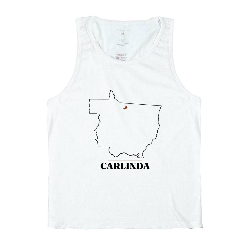 Carlinda | Traço MT - Imagem 2