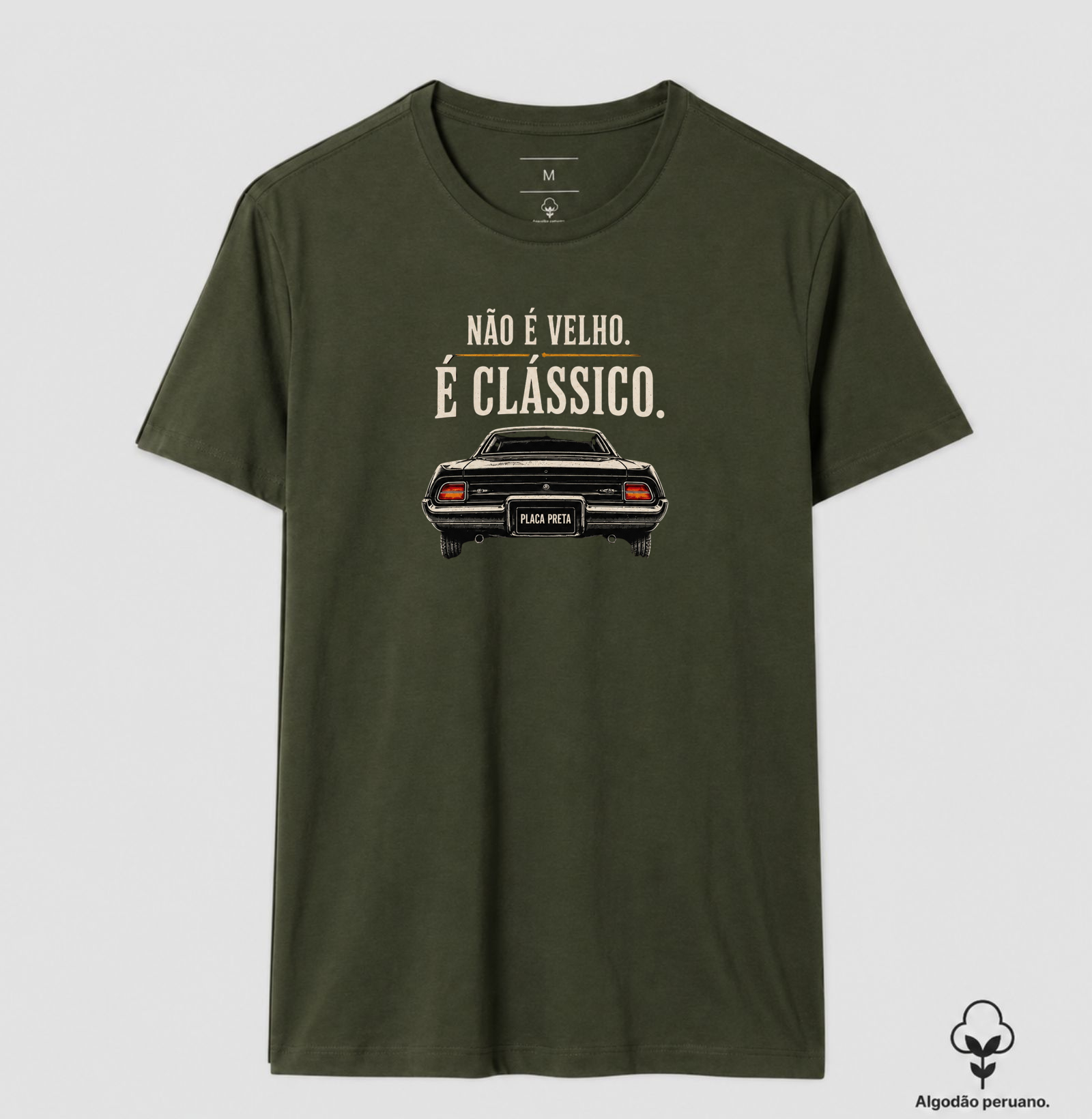 Não é velho, é clássico | Carro - Imagem 4