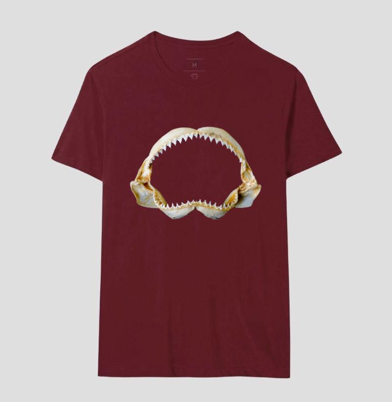 Camisa 17