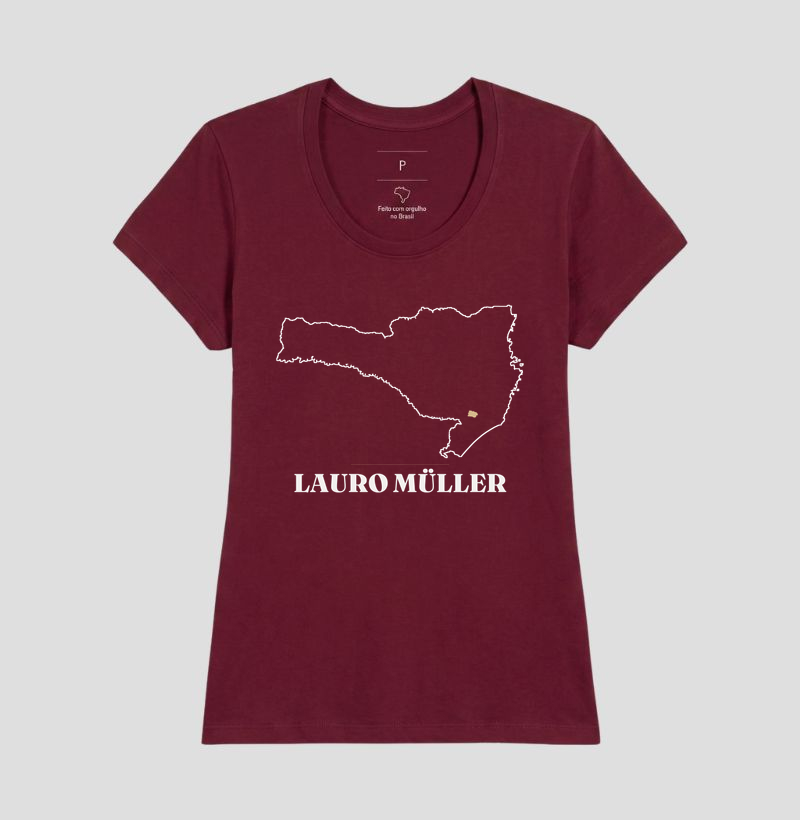 Lauro Müller | Traço SC - Imagem 19