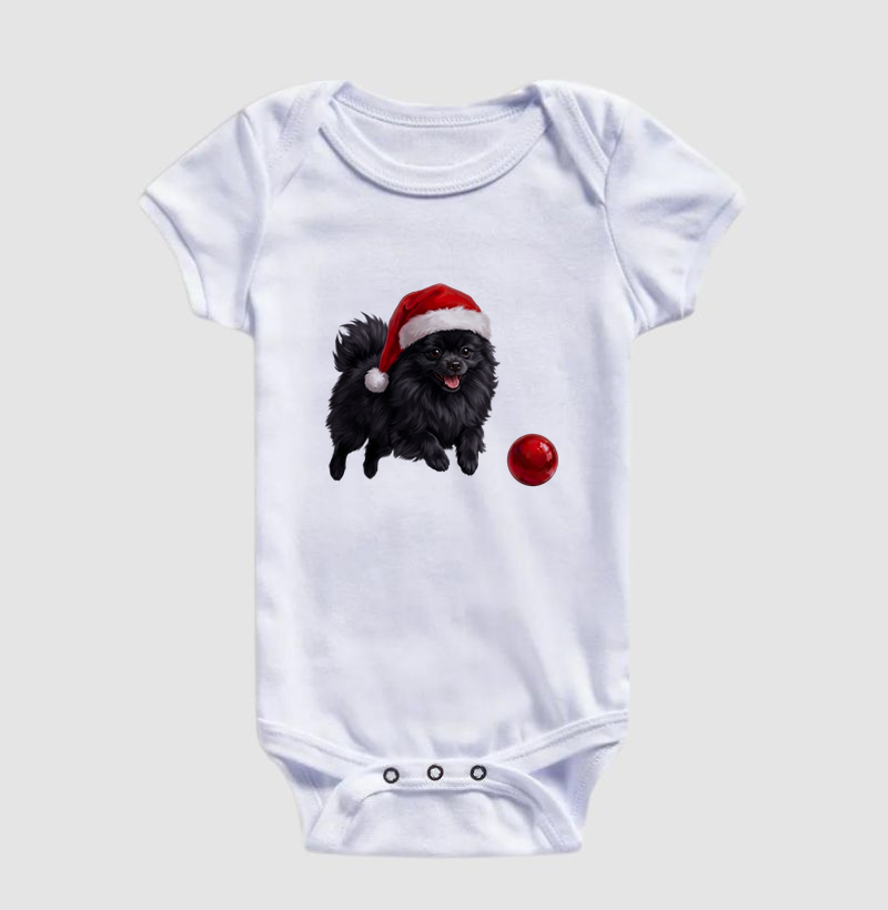 Pomerânia Preta - Natal - Imagem 3