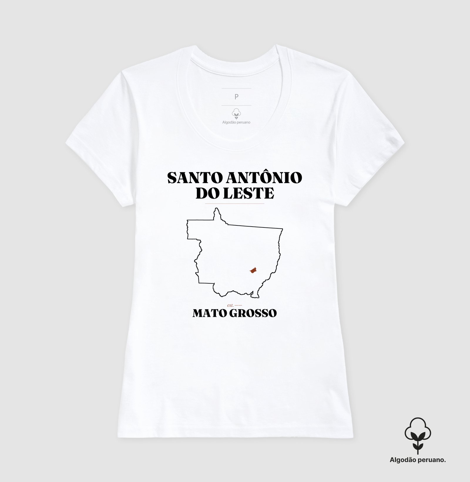 Santo Antônio do Leste | Legado MT - Imagem 3