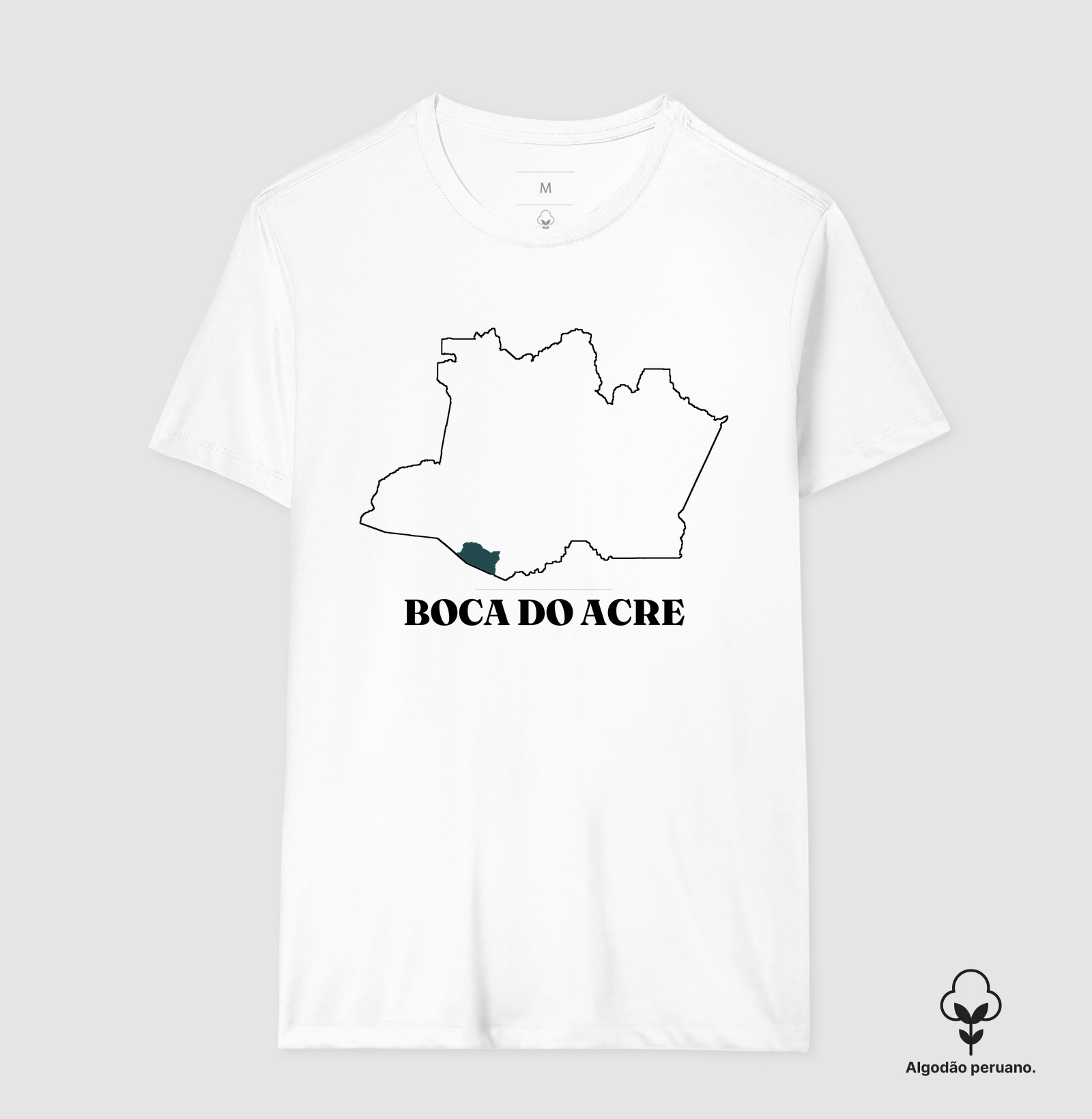 Boca do Acre | Traço AM - Imagem 4