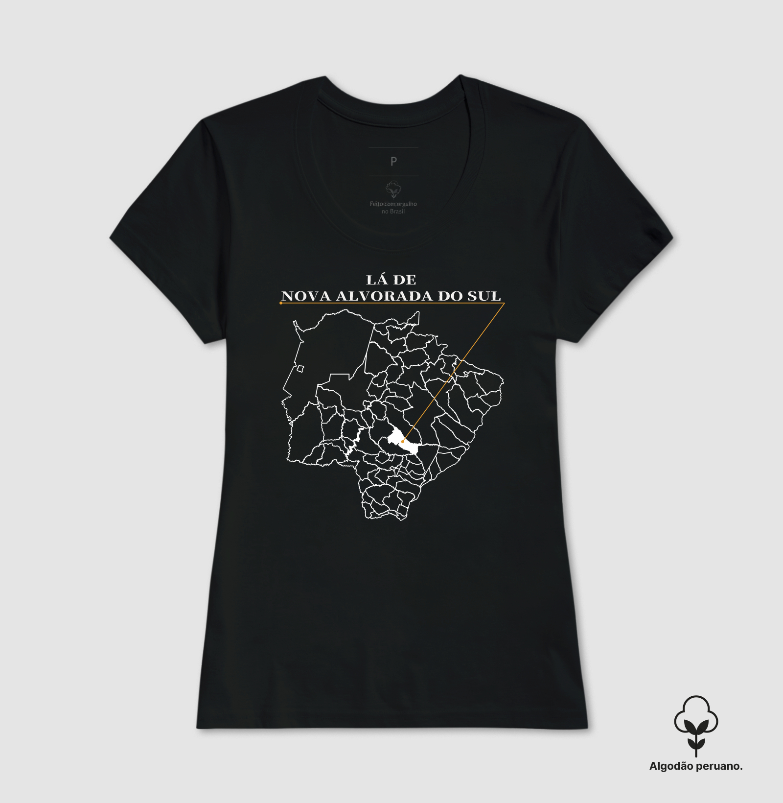 Nova Alvorada do Sul | Origem MS - Imagem 4