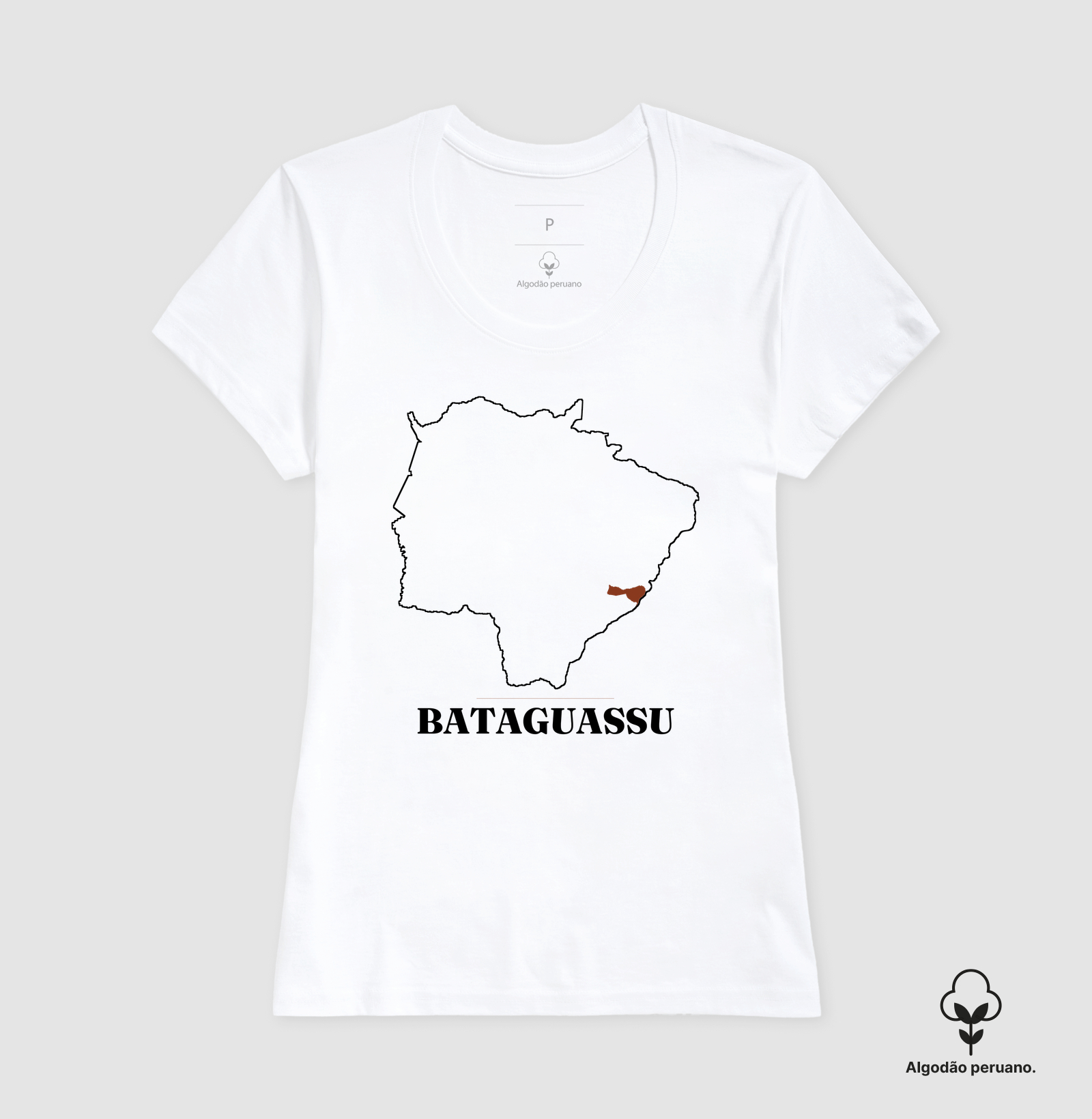 Bataguassu | Traço MS - Imagem 3
