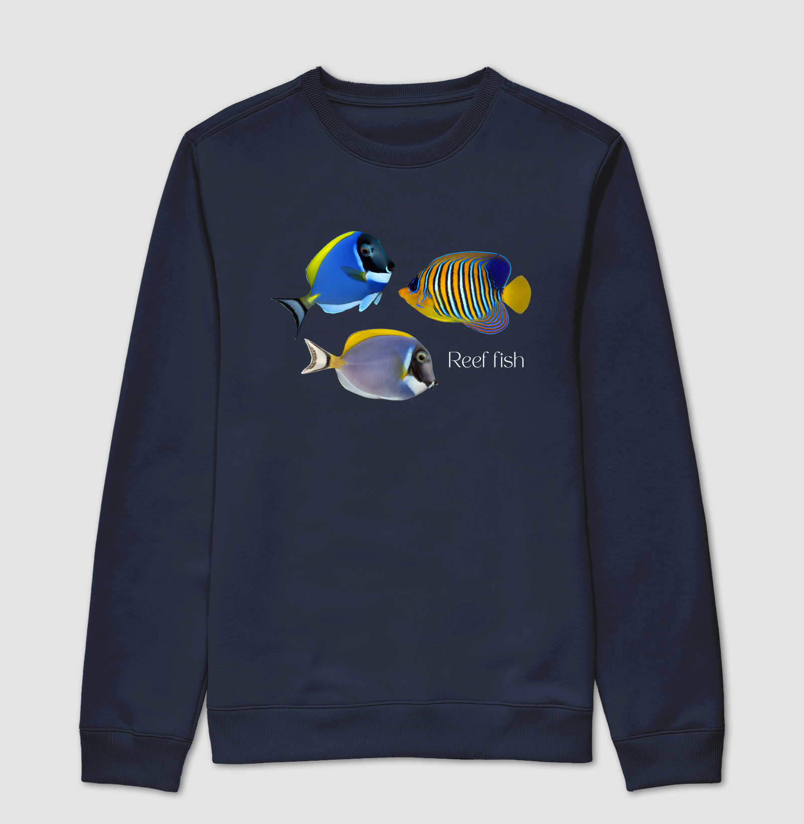 Reef Fish - Imagem 7