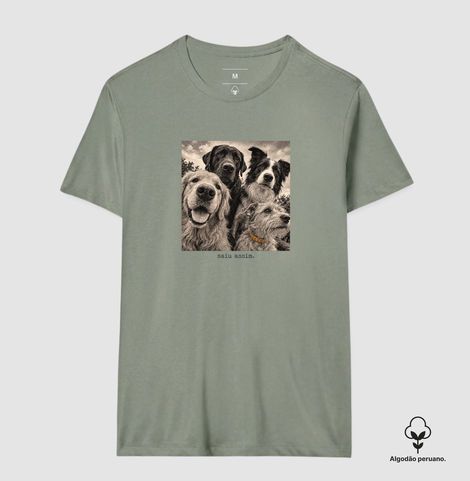 Camiseta saiu assim - Imagem 2