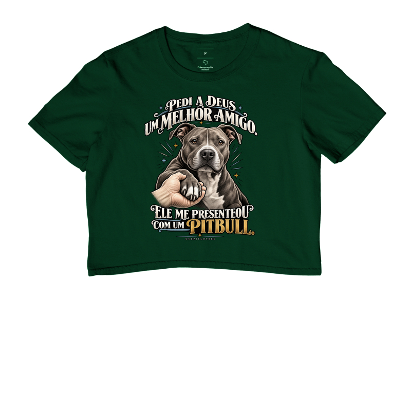 PEDI A DEUS UM MELHOR AMIGO E ELE ME PRESENTEOU COM UM PITBULL. - Imagem 5