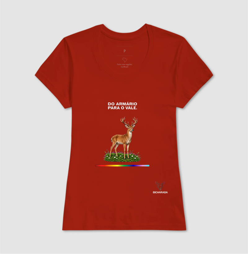 Do armário para o vale - Imagem 11