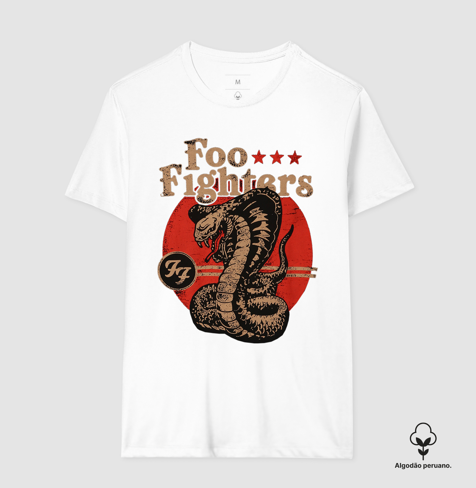 Foo Fighters - Serpente - Imagem 8