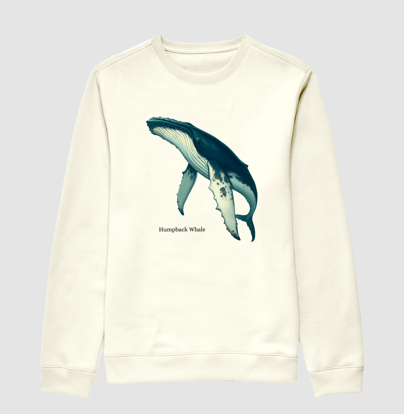 Humpback Whale - Imagem 4