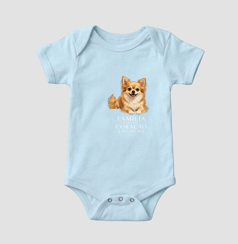 Chihuahua Bege - Família - Imagem 4