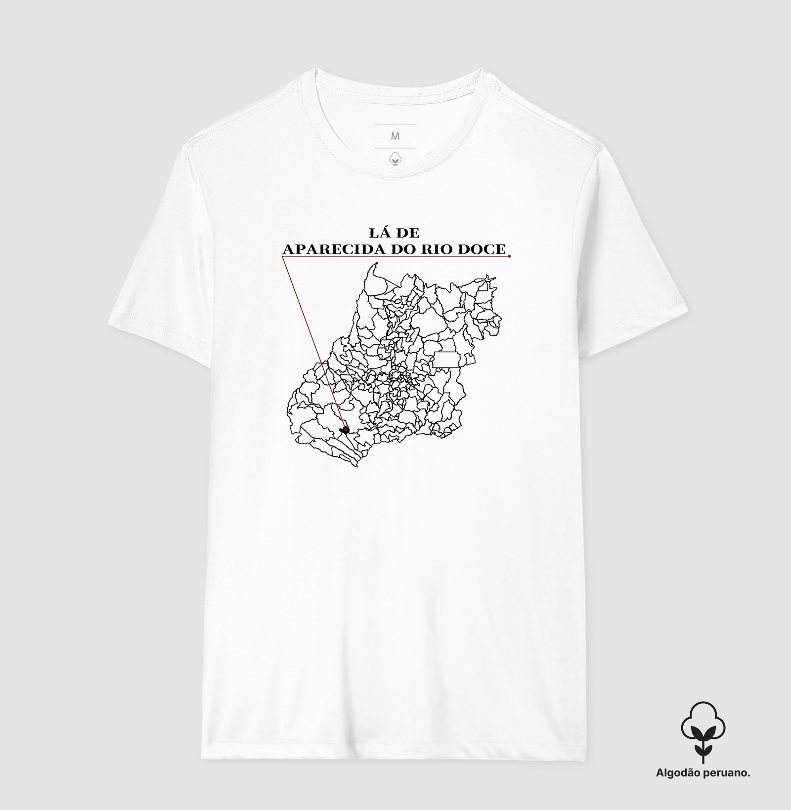 Aparecida do Rio Doce | Origem GO - Imagem 6