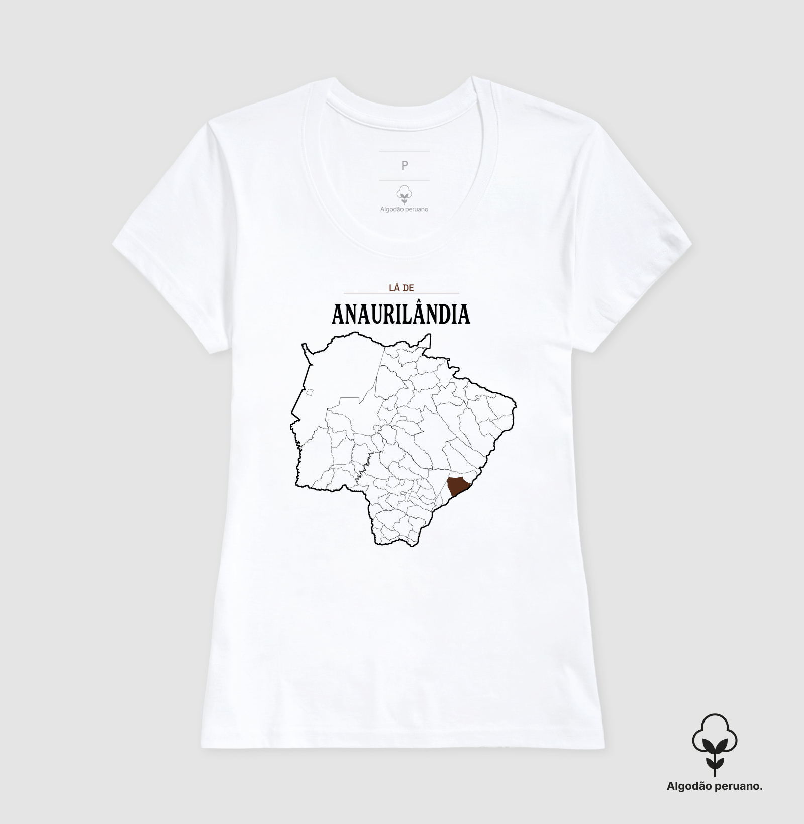 Anaurilândia | Território MS - Imagem 6