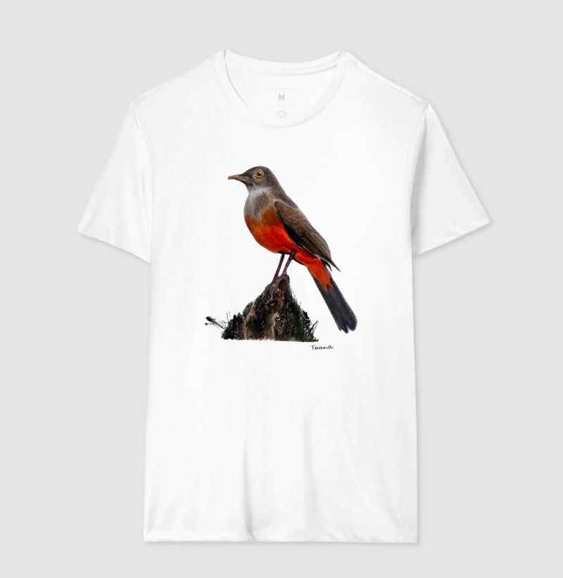 Camiseta Sabiá-Laranjeira – Aves do Brasil - Imagem 6