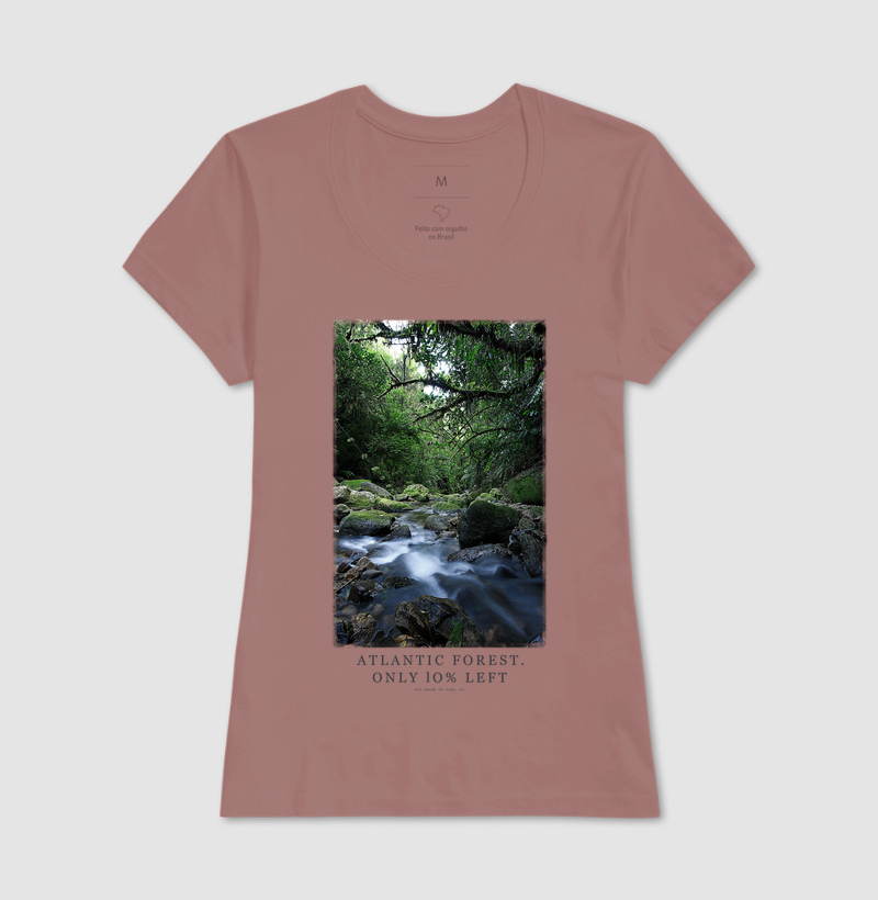 Atlantic Forest - Imagem 11