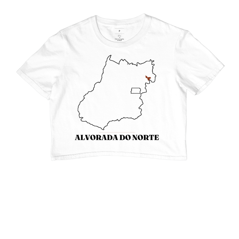 Alvorada do Norte | Traço GO - Imagem 3