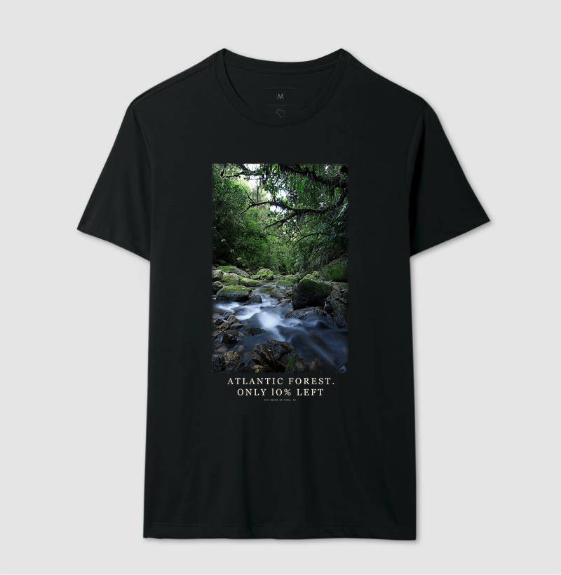 Atlantic Forest - Imagem 2