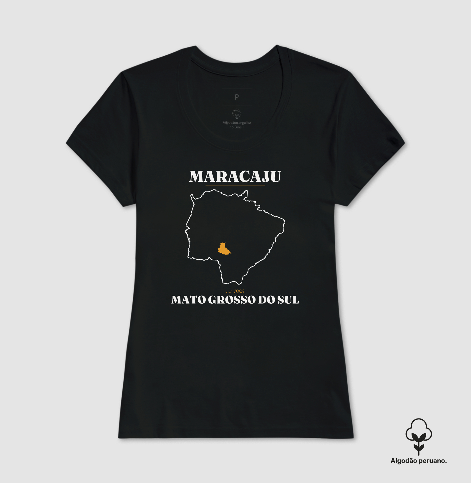 Maracaju | Legado MS - Imagem 4