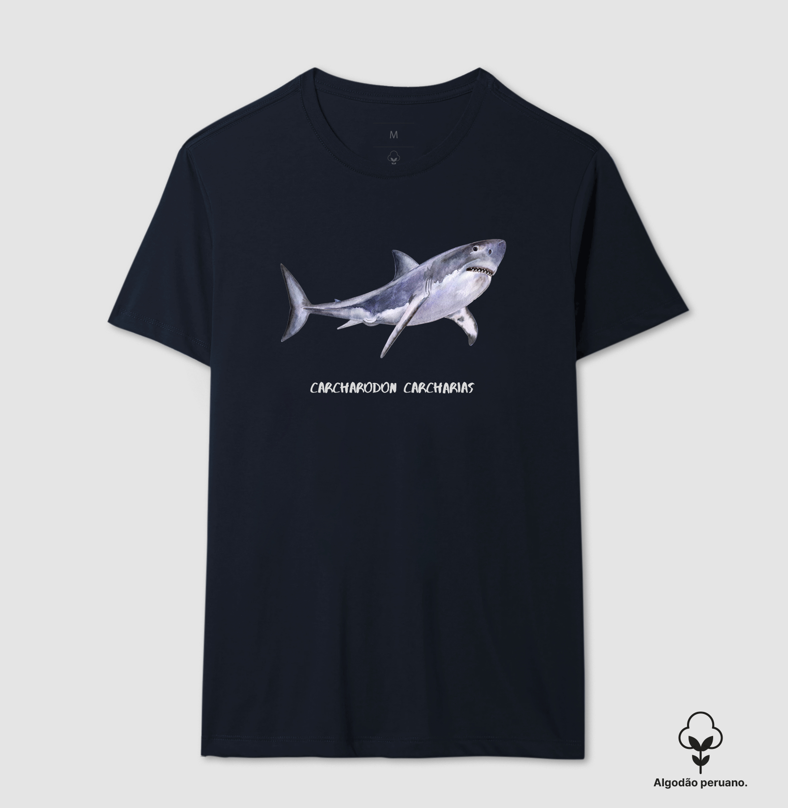 Carcharodon carcharias - Imagem 13