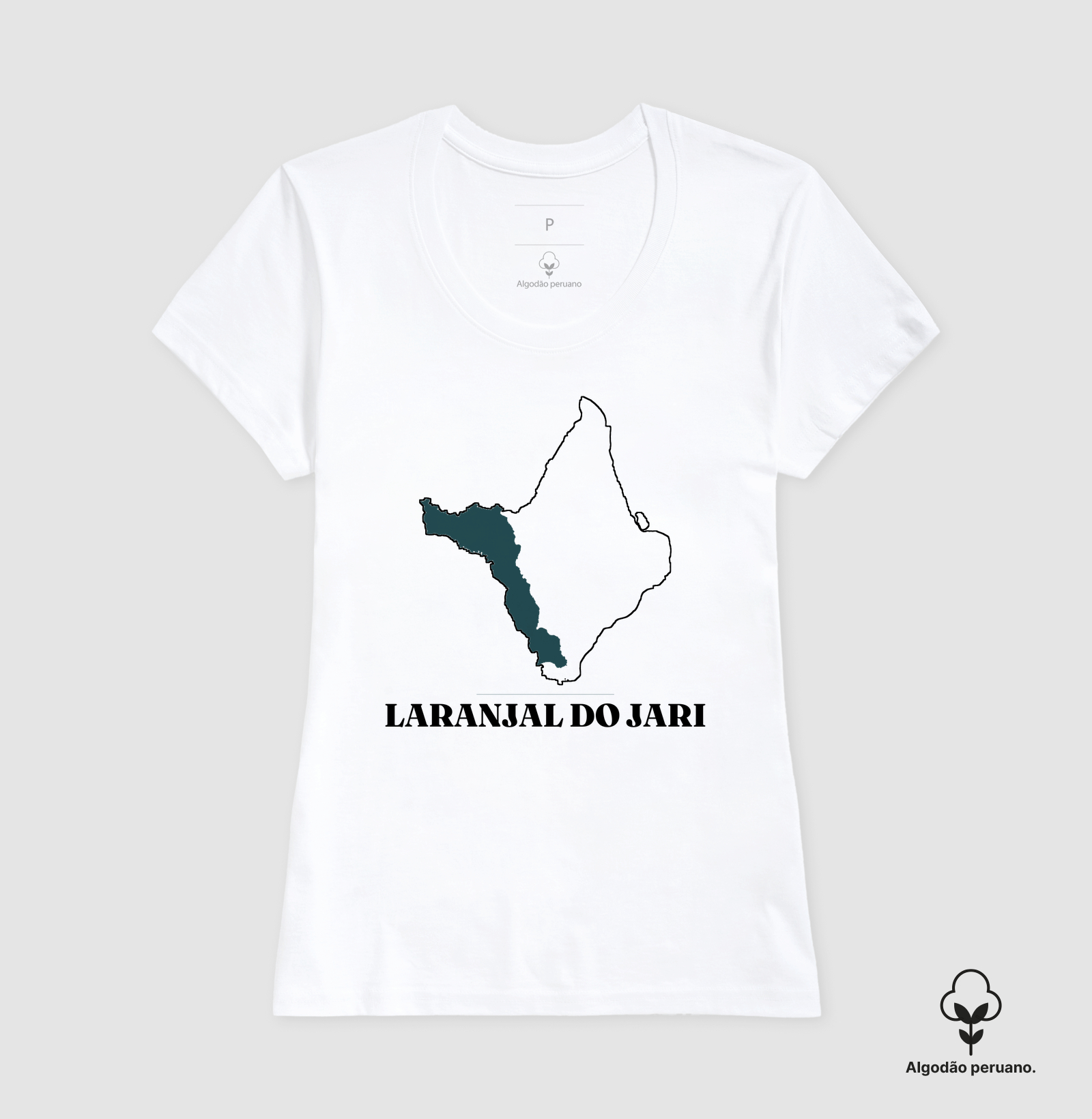 Laranjal do Jari | Traço AP - Imagem 5