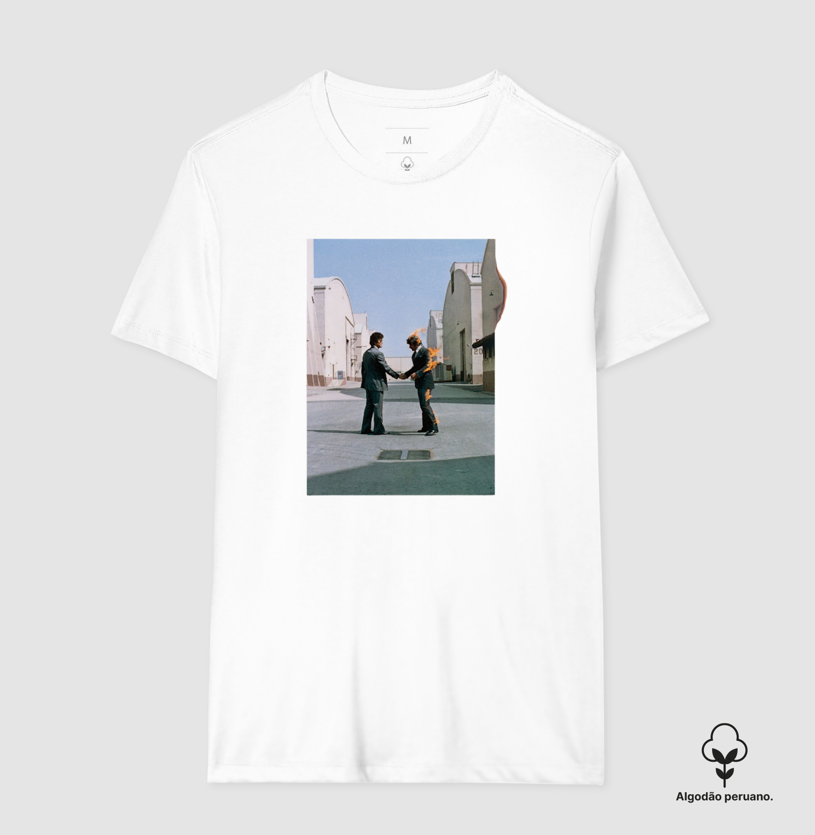 Pink Floyd - Wish You Were Here - Imagem 7