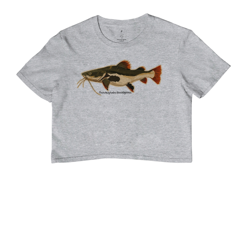 Pirarara 🐟 - Imagem 6