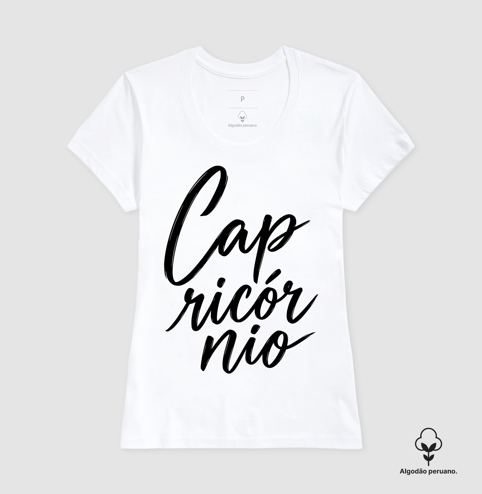 Capricórnio - Imagem 6