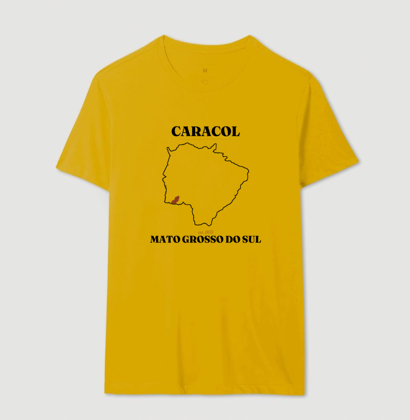 Camisa 13