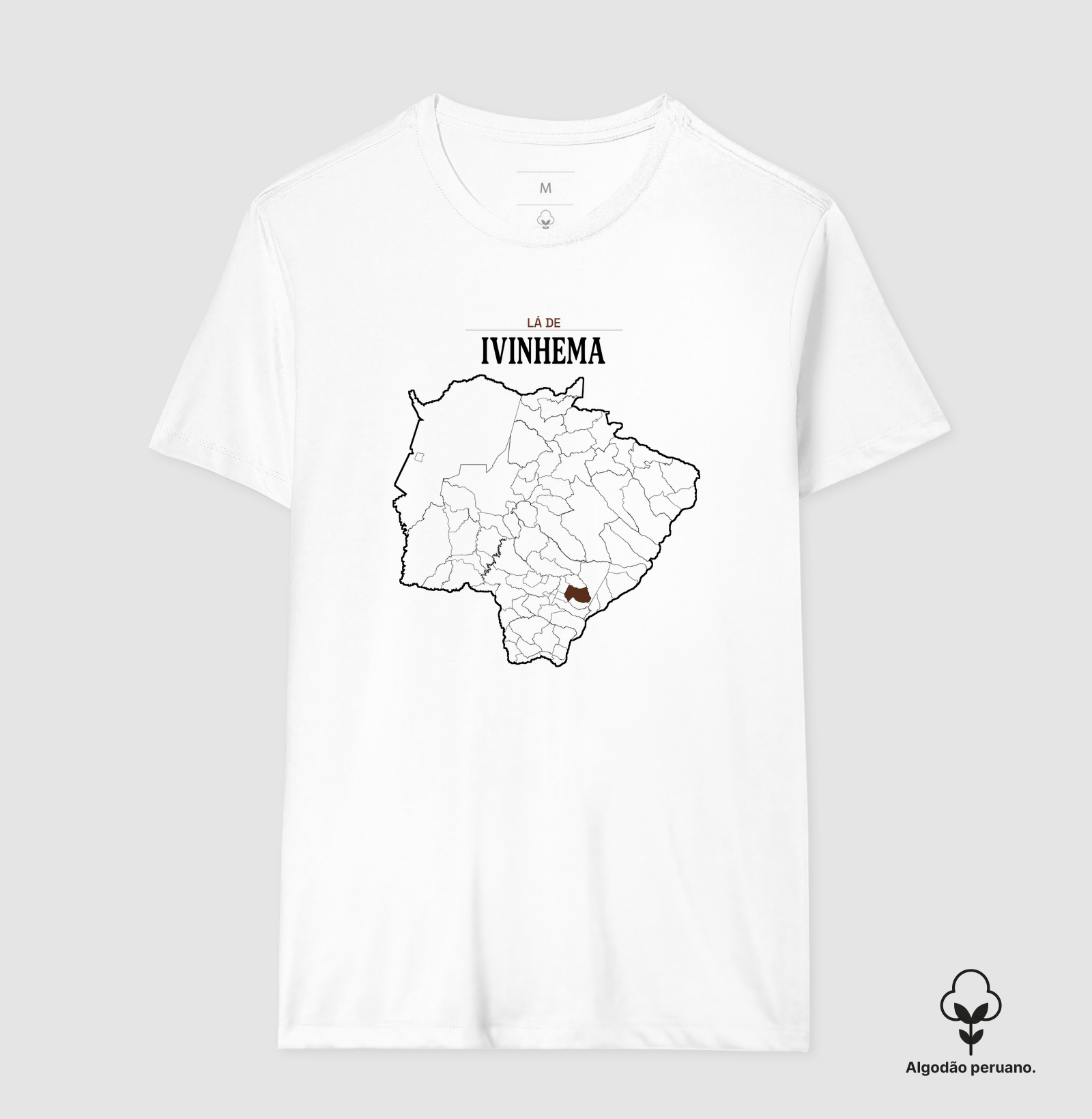 Ivinhema | Território MS - Imagem 2