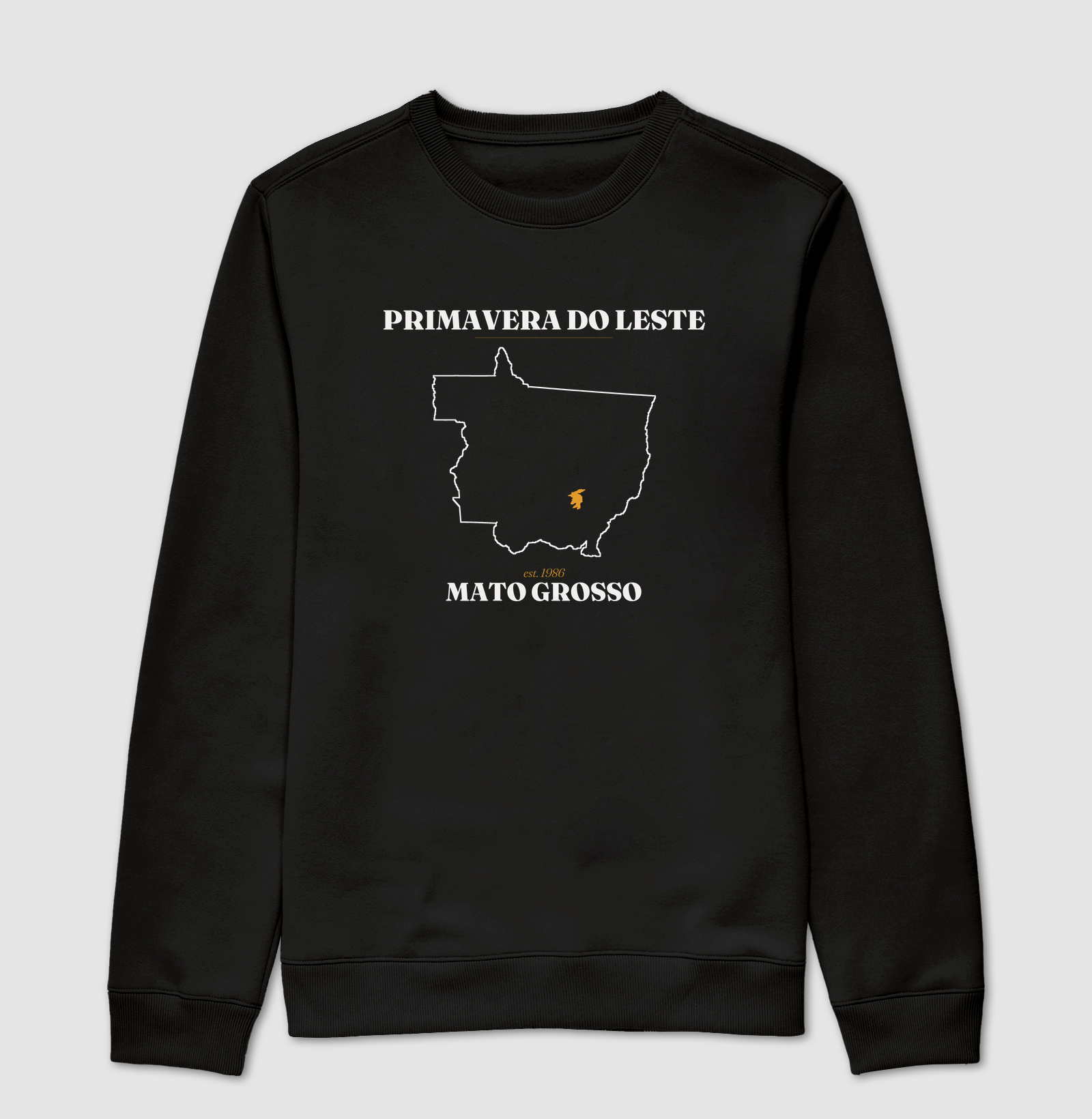 Primavera do Leste | Legado MT - Imagem 4