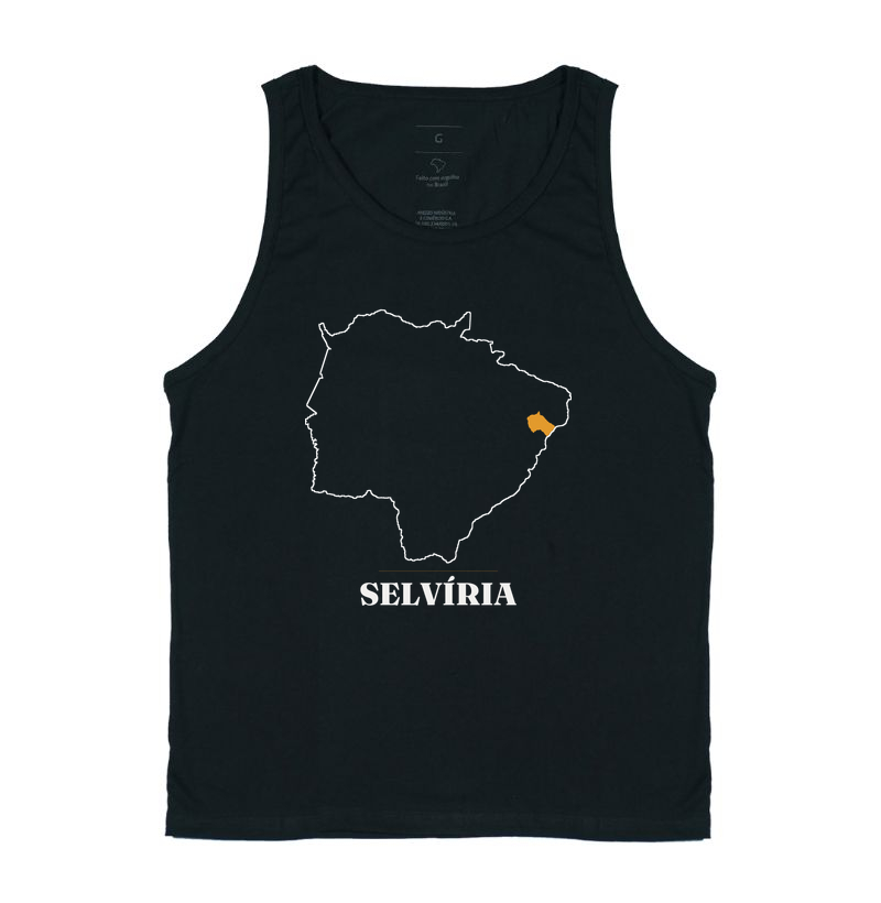Selvíria | Traço MS - Imagem 3