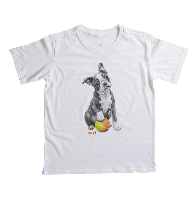 Boston Terrier do Beach - Imagem 7