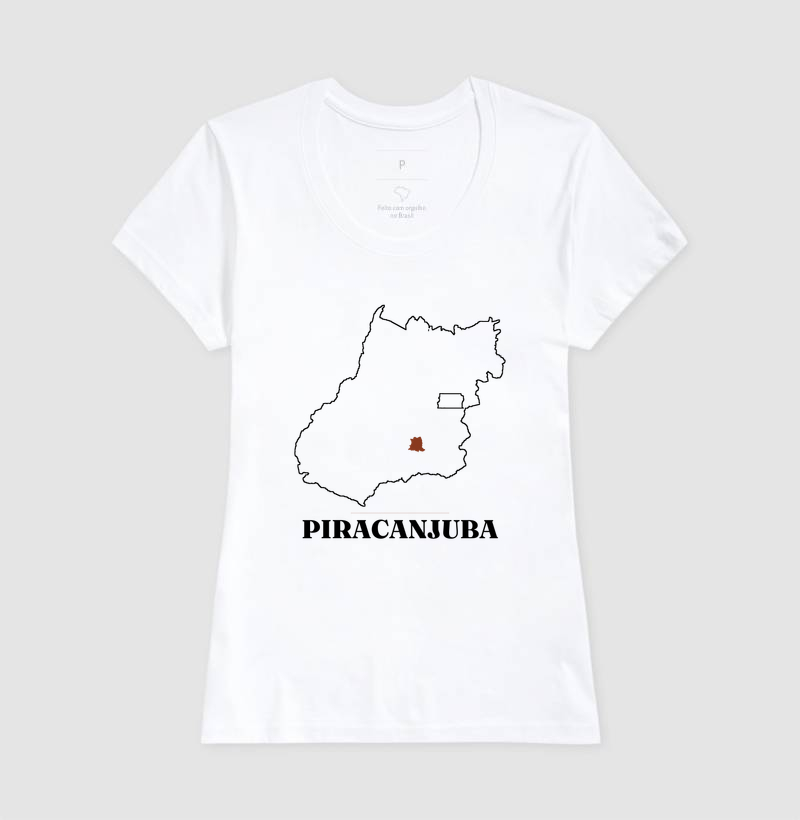 Piracanjuba | Traço GO - Imagem 5