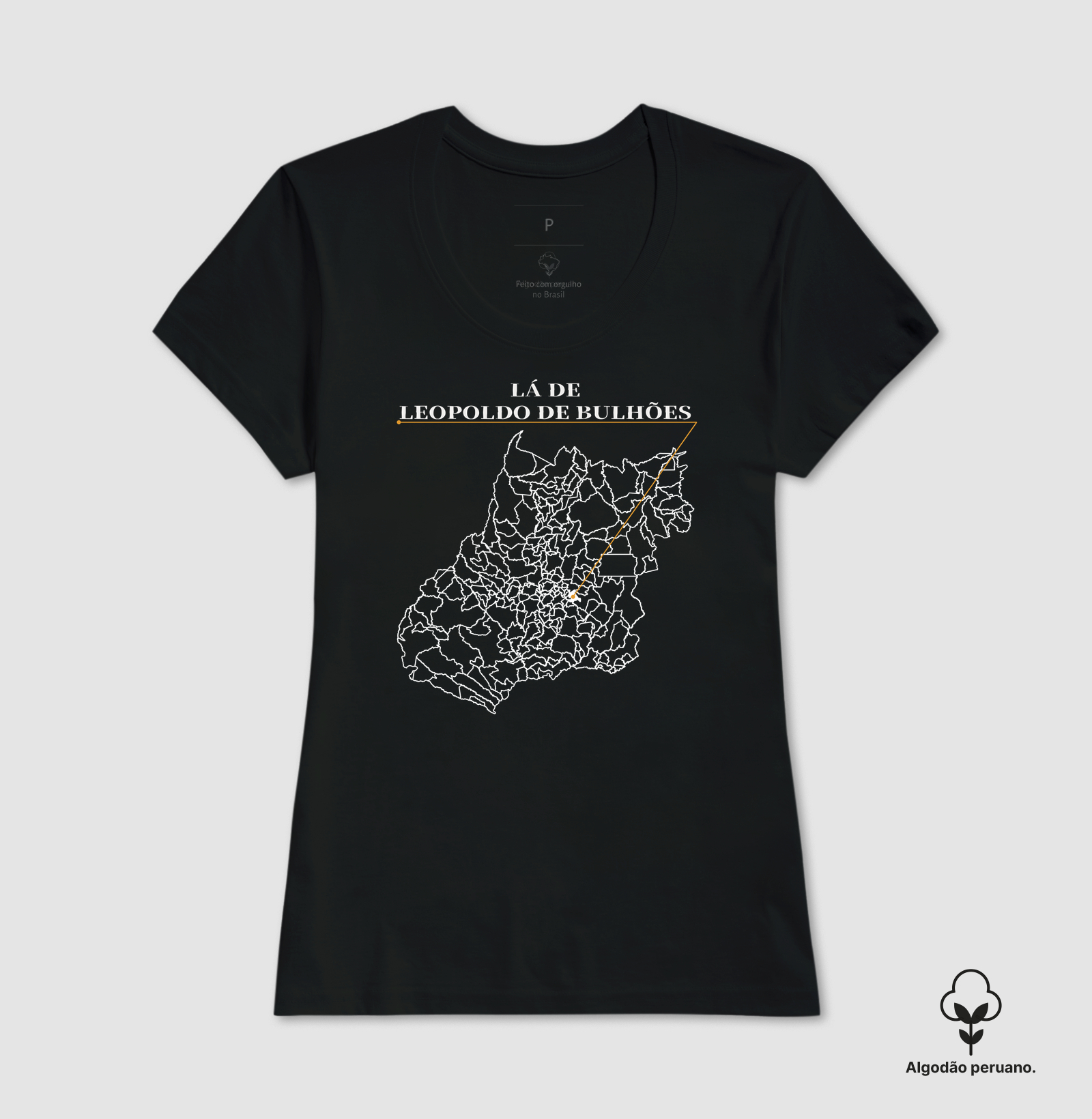Leopoldo de Bulhões | Origem GO - Imagem 3