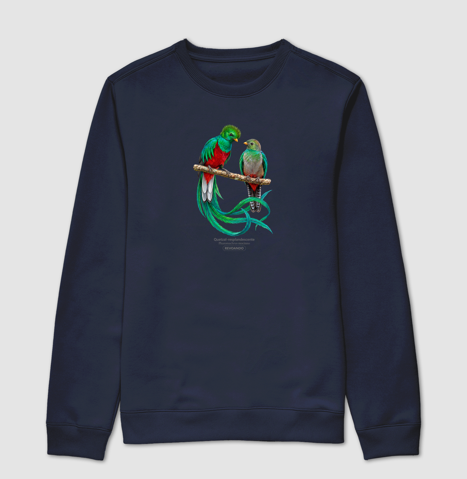 Traços Alados - Quetzal-resplandescente - Moletom - Imagem 7