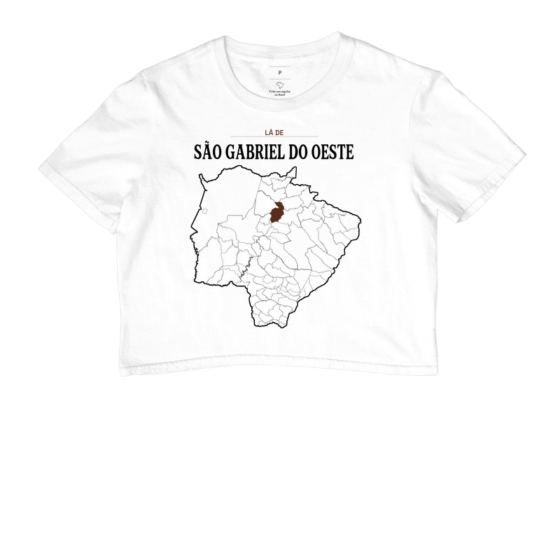 São Gabriel do Oeste | Território MS - Imagem 3